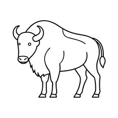Bison Outline with White Background