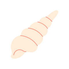 A shell is shown in a light pink color