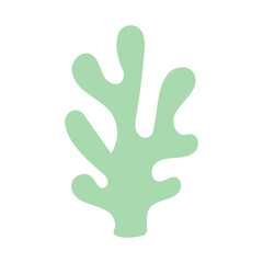 A green plant with a leafy stem. The stem is thin and the leaves are long and thin