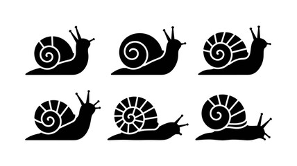 Snail Icon Set: A collection of six distinct snail icons, each showcasing a unique shell pattern and posture, ideal for design projects that need a touch of nature's slow pace.