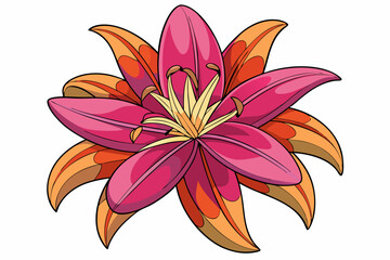 orange lily isolated on white