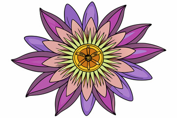 vector illustration of lotus flower