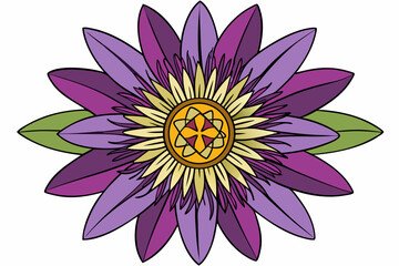 vector illustration of lotus flower
