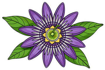 vector illustration of lotus flower