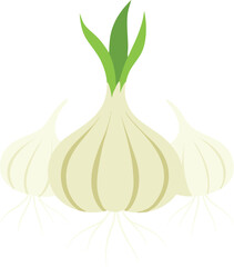 garlic isolated on white background