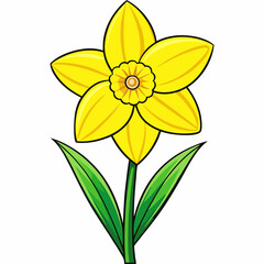 Obraz premium Bright Yellow Daffodil Flower Blossom in Spring Season