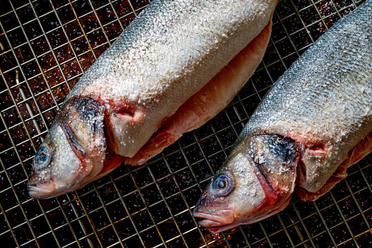  fish, fresh, ocean, macro, salt, cooking, grill