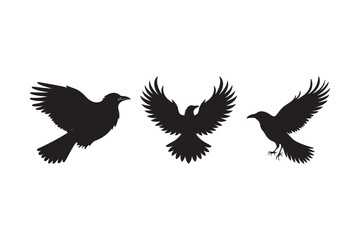 Flying Crow Silhouette Vector Set Black Raven Bird Clipart Collection
