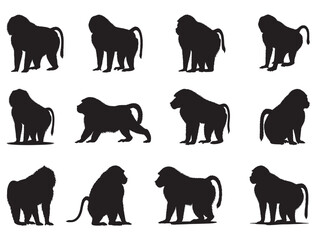 BABOONS SILHOUETTE WHITE BACKGROUND