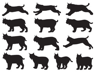 BOBCAT SILHOUETTE WHITE BACKGROUND