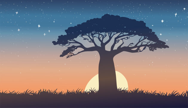 peaceful african twilight with a silhouetted baobab tree against a rising moon and a starry sky on the savanna grassland vector illustration

