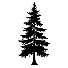 Silhouette of a stately evergreen tree stands prominently against a white backdrop