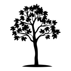 Silhouette of a deciduous tree with dense foliage on a white background
