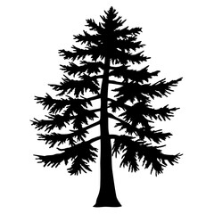 Black Silhouette of a Majestic Evergreen Tree Against a White Background