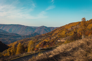 Mountain forest in autumn sunset, trees in warm colors
