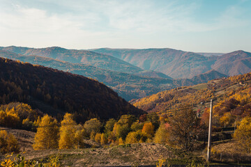 Naklejka premium Mountain forest in autumn sunset, trees in warm colors