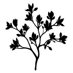 Elegant black silhouette of a flowering tree branch on a white background