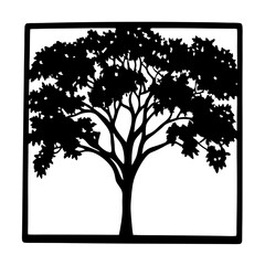 Silhouette of a Majestic Tree in a Square Frame with Leafy Canopy