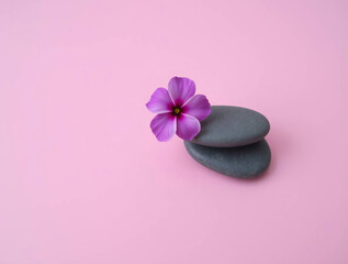 a minimalist and serene composition featuring a stack of two smooth, dark gray stones placed on a flat surface against a solid pink background