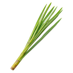 A vibrant bundle of fresh Pandanus leaves, a symbol of tropical life and lush greenery, captured against a clean white background showcasing its bright green hues and intricate details.