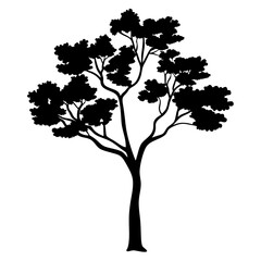Obraz premium Silhouette of a majestic tree with dense foliage against a white background