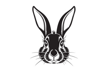 Rabbit Head Vector Illustration Cute Bunny Line Art Drawing