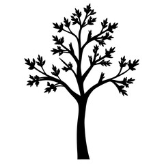 Silhouette of a deciduous tree with spreading branches and small leaves