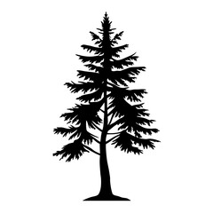 Striking silhouette of an evergreen tree, perfect for nature themed designs
