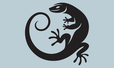 lizard on a white background