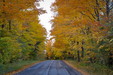 Road in autumn