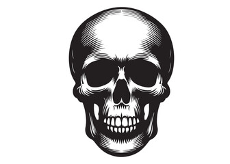 skull head silhouette logo vector, skull logo icon silhouette, human skull death silhouette vector, black human skull head silhouette vector illustration on white background