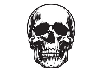 skull head silhouette logo vector, skull logo icon silhouette, human skull death silhouette vector, black human skull head silhouette vector illustration on white background