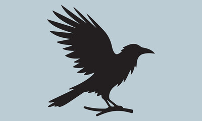 raven on a white background