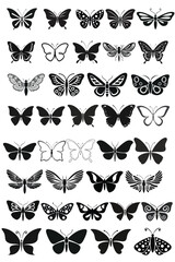 Fototapeta premium set of vector butterflies