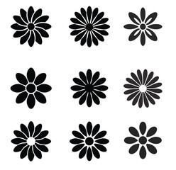 Obraz premium set of vector floral elements