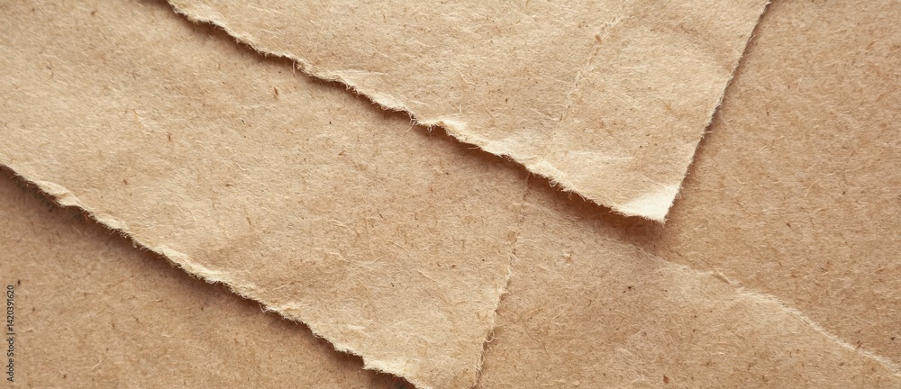 Poster soft textured brown surface creates an abstract composition with layered elements for artistic explo