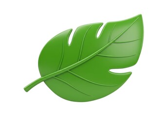 Green leaf - stock photo isolated on white background
