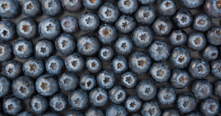 Blueberry texture background. Fresh blue berry fruits pattern, bilberry wallpaper with copy space