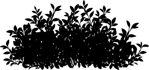 Silhouette of Dense Bush with Leaves