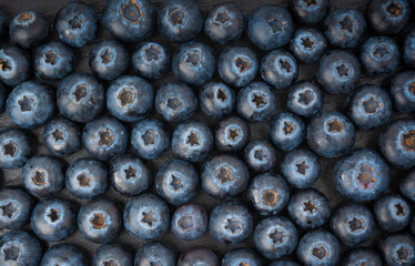 Blueberry texture background. Fresh blue berry fruits pattern, bilberry wallpaper with copy space