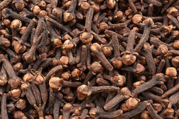 Clove spice textured background. Dry carnation spicy buds pattern, natural Indian clove condiment