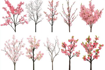 Obraz premium Assorted artificial cherry blossom trees