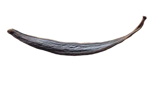 The elegant curve of a dried vanilla bean resting on a pristine white surface