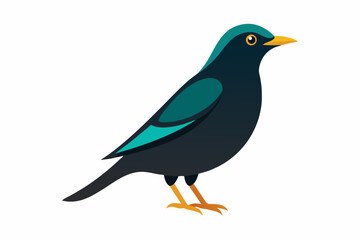 Obraz premium blue bird isolated on white
