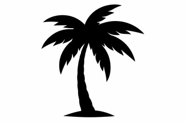 silhouette of palm tree