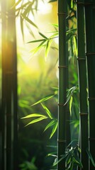 Naklejka premium Lush bamboo grove bathed in golden sunlight.