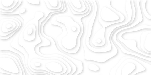 Abstract liquid wave background. White paper cut wavy layers pattern design. Geometric map relief texture with curved layers and shadow effect. White line drawing geometric paper art design. 