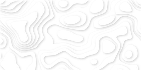 Abstract liquid wave background. White paper cut wavy layers pattern design. Geometric map relief texture with curved layers and shadow effect. White line drawing geometric paper art design. 