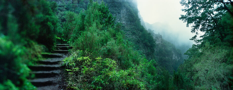 Panoramic view of Levada do Caldeir&atilde;o Verde Hike (PR9) On Madeira Island, Portugal, Europe..