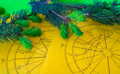 Printed yellow astrology charts with small fir tree branches in the background